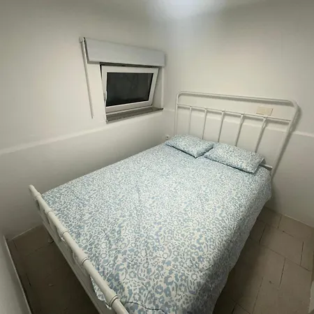 Dantea - New 2025 Izola